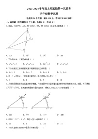 重庆市江津区五校联考2023-2024学年八年级上学期期中数学试题（含解析）