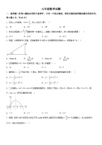 山东省淄博市周村区（五四制）2023-2024学年九年级上册期中考试数学试题（含解析）