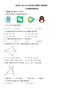 河南省三门峡市灵宝市2023-2024学年八年级上册期中数学试题（含解析）