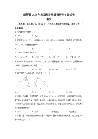 河南省南阳市新野县2023-2024学年八年级上册期中数学试题（含解析）