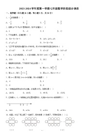 广东省汕尾市陆河县多校2023-2024学年七年级上册月考数学试题（含解析）