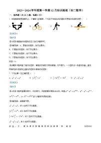 广东省珠海市第十中学2023-2024学年八年级上学期月考数学试题（解析版）