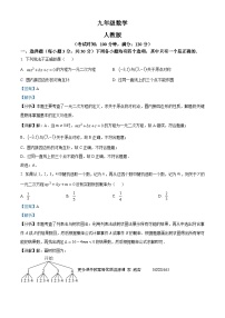 河南省周口市西华县2023-2024学年九年级上学期11月月考数学试题（解析版）