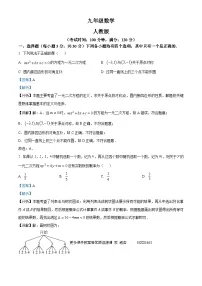 河南省周口市西华县2023-2024学年九年级上学期11月月考数学试题（解析版）