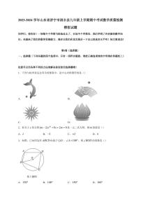 2023-2024学年山东省济宁市泗水县九年级上学期期中考试数学质量检测模拟试题（含答案）