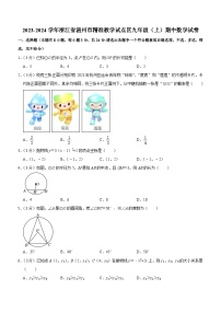 浙江省温州市精准教学试点区学习力测评2023—2024学年九年级数学期中试卷（含解析）