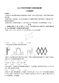 广西壮族自治区南宁市横州市重点中学2023-2024学年八年级上学期期中数学试题(无答案)