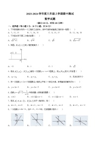 辽宁省朝阳市建平县重点中学2023-2024学年八年级上学期期中数学试题(无答案)