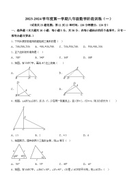 广东省湛江市廉江市2023-2024学年八年级上学期数学阶段训练(一)(含答案)