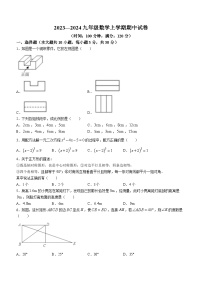 河南省安阳市白璧镇第一初级中学2023-2024学年九年级上学期期中数学试题