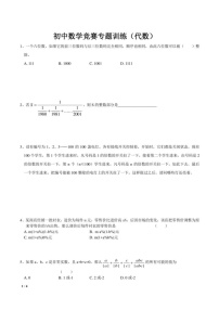 初中数学竞赛专题训练——代数