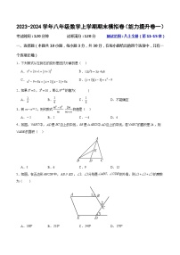 2023-2024学年八年级数学上学期期末模拟卷（能力提升卷01）人教版 含答案解析