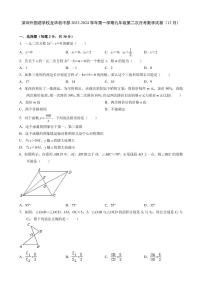 广东省深圳市深圳外国语学校龙华初中部2023-2024学年上学期九年级第二次月考数学试卷（12月）（含答案）