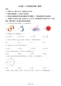 广东珠海八中2023-2024学年九年级上学期月考数学试题（含答案）