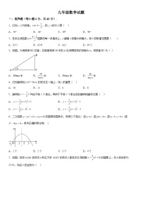 2023-2024学年山东省淄博市周村区九年级（上）数学期中考试数学试题（含解析）