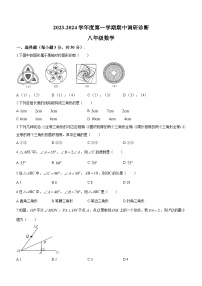 2023-2024学年广东省广州市白云中学八年级上学期期中数学试题(无答案)