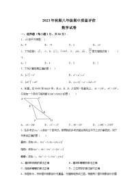 2023-2024学年河南省南阳市淅川县八年级上册期中数学试题（含解析）