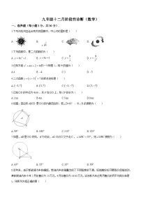 2023-2024学年广东省珠海八中九年级（上）月考数学试卷（12月份）