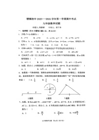 陕西省宝鸡市陈仓区虢镇初级中学2023-—2024学年九年级上学期数学期中测评卷