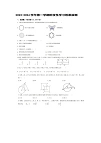 山东省齐河县马集乡中学2023-—2024学年上学期期中考试九年级数学试题