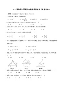 浙江省宁波市鄞州区十二校联考2024届九年级上学期10月月考数学试卷(含答案)