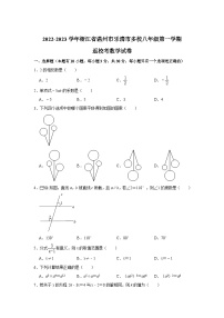 浙江省温州市乐清市多校2022-2023学年八年级上学期返校考数学试卷(含解析)