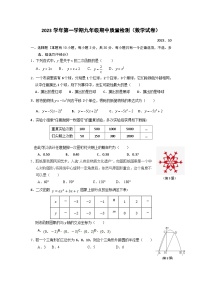 浙江省温州市龙湾区部分学校2024届九年级上学期10月份（期中）联考数学试卷(含答案)