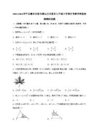 2023-2024学年安徽省合肥市蜀山区合肥市九年级上学期月考数学质量检测模拟试题（含答案）