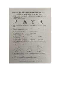 广东省湛江市廉江市第四中学2023-2024学年八年级上学期12月月考数学试题