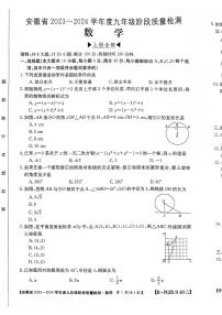 安徽省阜阳市太和县2023-2024学年九年级上学期12月月考数学试题