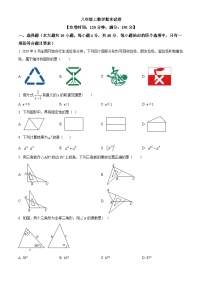 八年级上学期期末数学试题 (10)