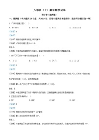 八年级上学期期末数学试题 (13)