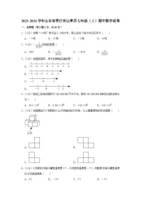 山东省枣庄市山亭区2023-2024学年七年级上学期期中水平测试数学试卷