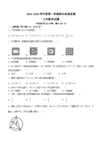 广东省汕头市潮阳区铜盂镇2023-2024学年九年级上学期期末数学试题