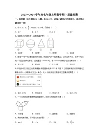 河南省驻马店市驿城区2023-2024学年七年级上学期期中数学试题（含解析）