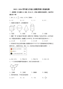 河南省驻马店市驿城区2023-2024学年七年级上学期期中数学试题（含解析）