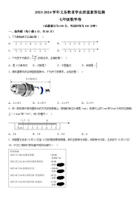 山东省德州市陵城区2023-2024学年七年级上学期期中数学试题（含解析）