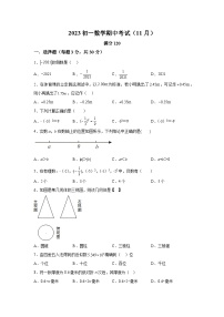 山东省威海市文登区2023-2024学年七年级上学期期中数学试题（含解析）