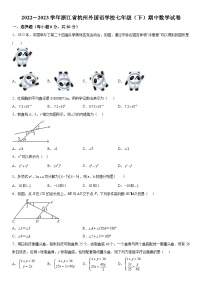 浙江省杭州市西湖区杭州外国语学校2022-2023学年七年级下册期中数学试题（含解析）