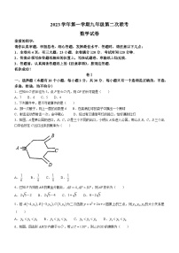 浙江省温州市瑞安市温州八校联考2023-2024学年九年级上学期12月期末数学试题(无答案)