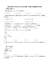 江苏省常州市新北区滨江中学2023-2024学年九年级上学期12月月考数学试题(无答案)