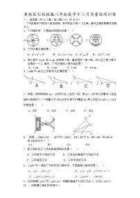 湖北省武汉市黄陂区黄陂区部分学校2023-2024学年八年级上学期12月月考数学试题