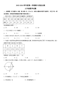 江苏省徐州市铜山区2023-2024学年九年级上册期中数学试题（含解析）