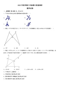 江苏省常州市金坛区2023-2024学年八年级上册期中数学试题（含解析）