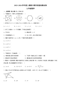 河南省漯河市郾城区2023-2024学年九年级上册期中数学试题（含解析）