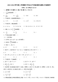 山东省临沂市罗庄区2023-2024学年七年级上册期中数学试题（含解析）