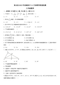 湖南省永州市东安县五校联考2023-2024学年八年级上册期中数学试题（含解析）