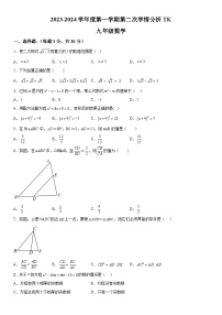 河南省周口市太康县2023-2024学年九年级上册期中数学试题（含解析）