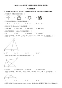 河南省漯河市郾城区2023-2024学年八年级上册期中数学试题（含解析）