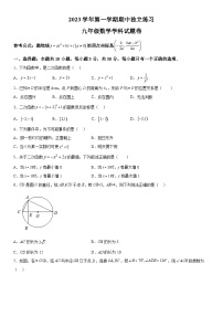 浙江省湖州市安吉县2023-2024学年九年级上册期中数学试题（含解析）